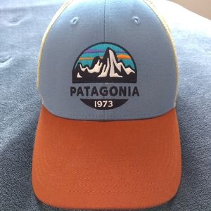 Patagonia Trucker Snapback Hat